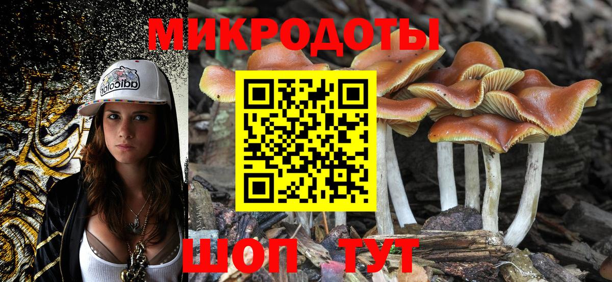 Псилоцибиновые грибы GOLDEN TEACHER Корсаков