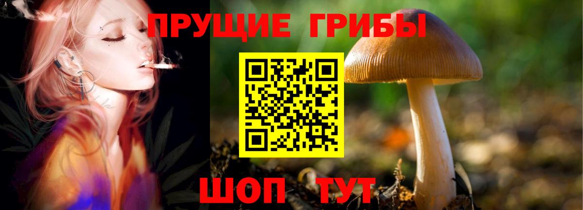 продажа наркотиков  Псилоцибиновые грибы мухоморы  Вход с VPN  Псилоцибиновые грибы MAGIC MUSHROOMS  Корсаков 